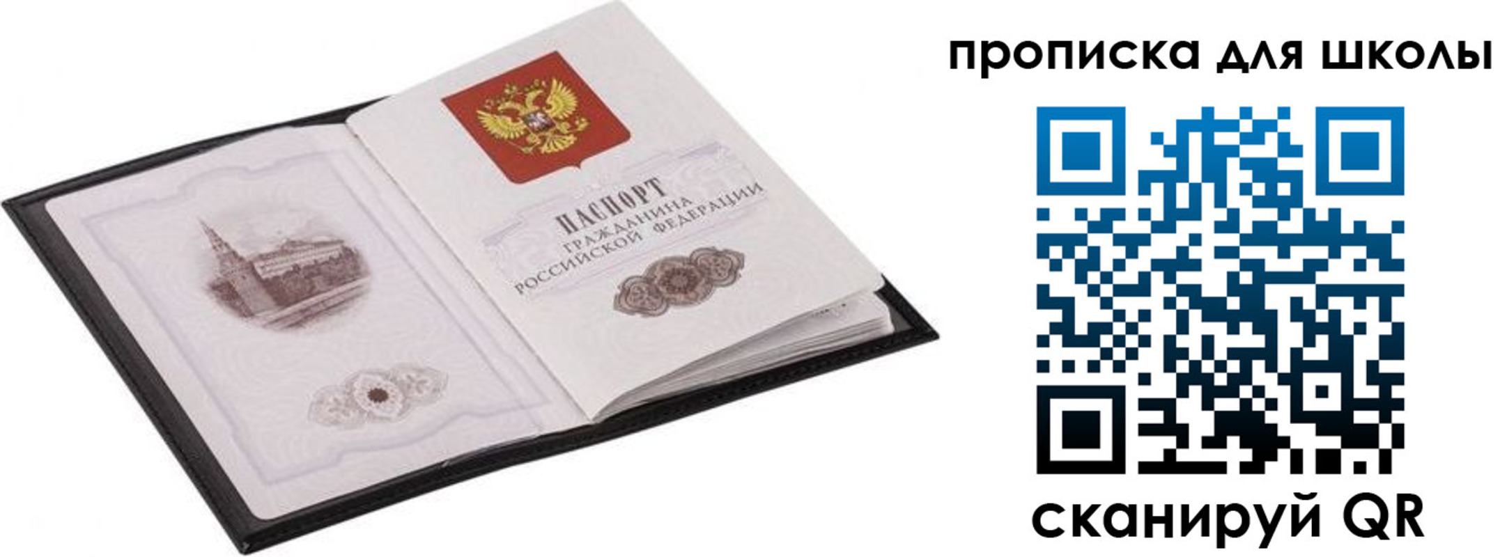 прописка в квартире в Лосино-Петровском